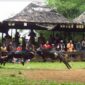 Adu Domba Garut