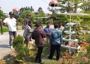 Salah satu tanaman hidroponik binaan Dinas Ketahanan Pangan Kota Tangerang