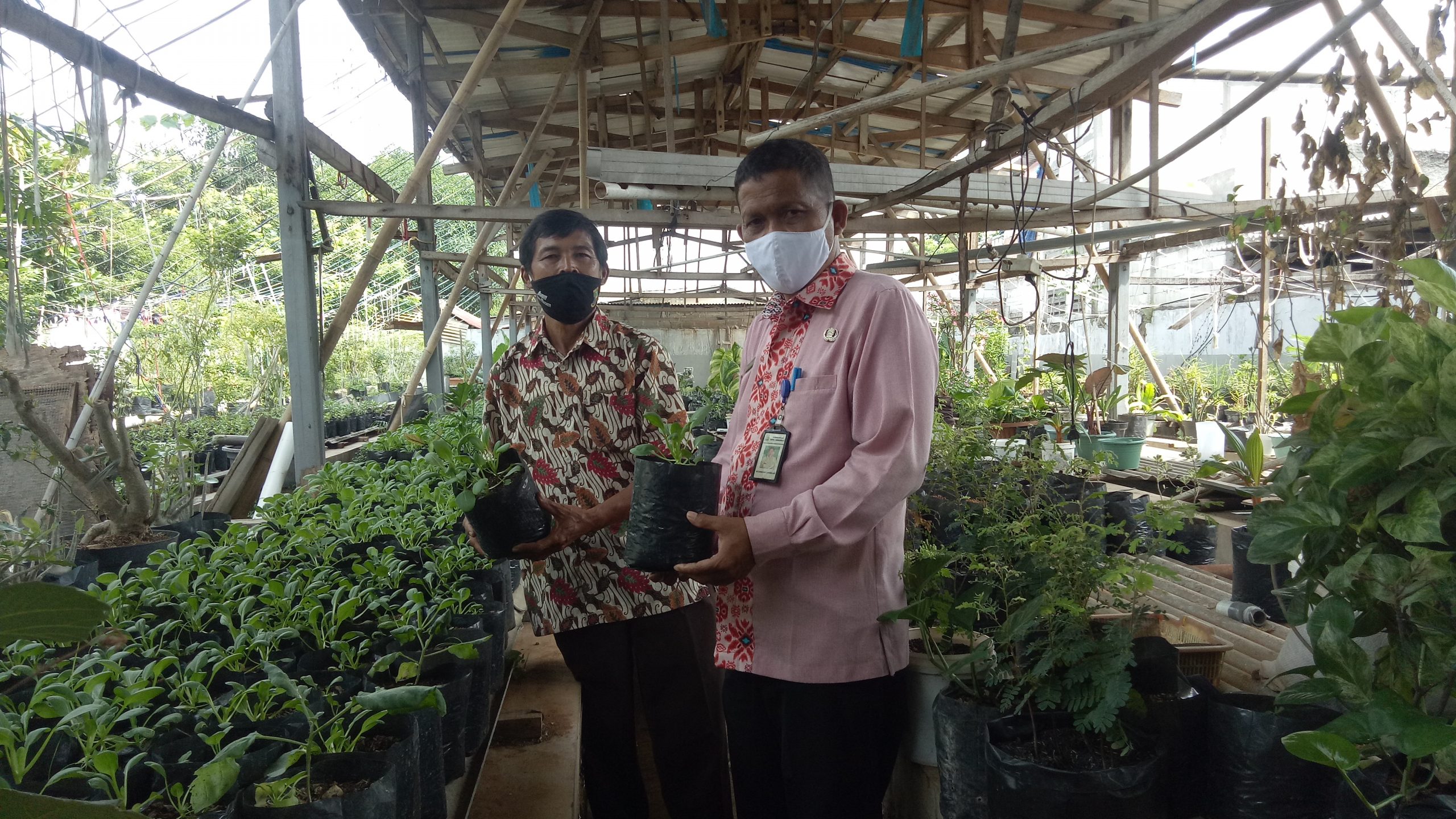 Delapan RW di Cipadu Jaya Berharap Miliki Lahan KWT 