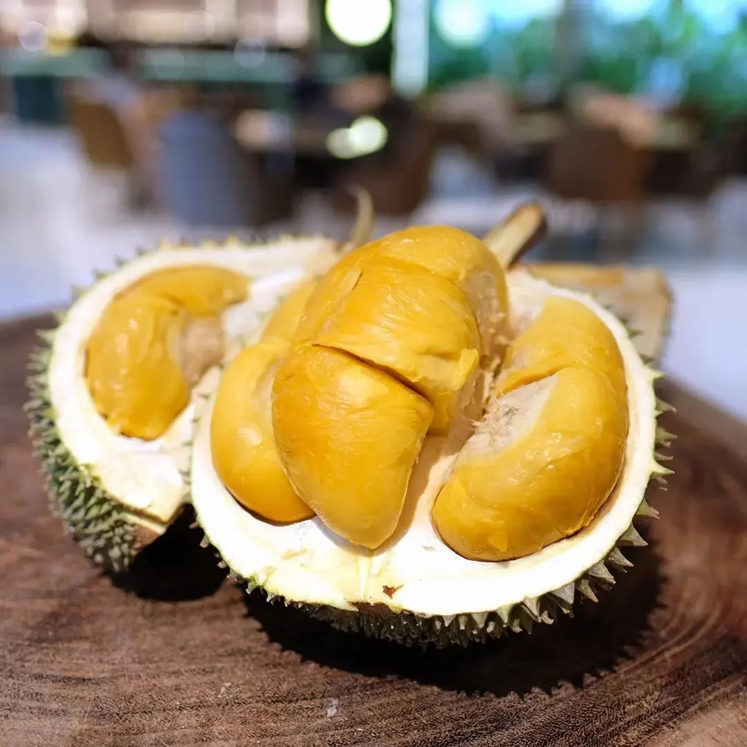 Karyawan dan Pelajar Dapat Diskon Dari Rimba Durian Café Jakarta