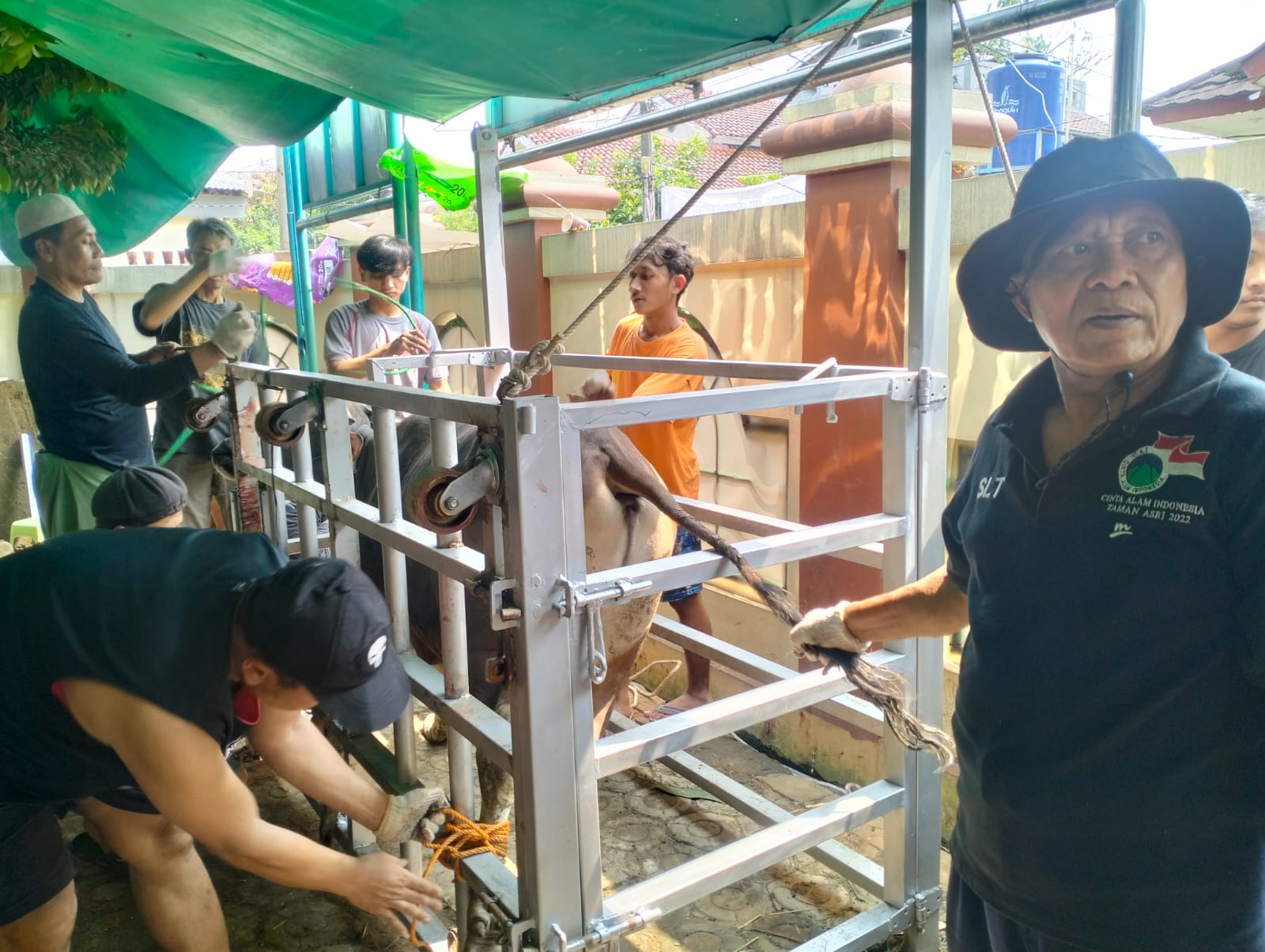 Idul Adha 1445 H, Masjid Baitul Fuqoha Insani Cipadu Jaya Potong Hewan Kurban 10 Ekor Sapi dan 5 Ekor Kambing