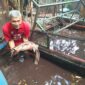 Bank Sampah Gawe Rukun Kunciran Indah Budidaya Ikan Lele Organik, Hasilnya Boleh Gratis untuk Warga