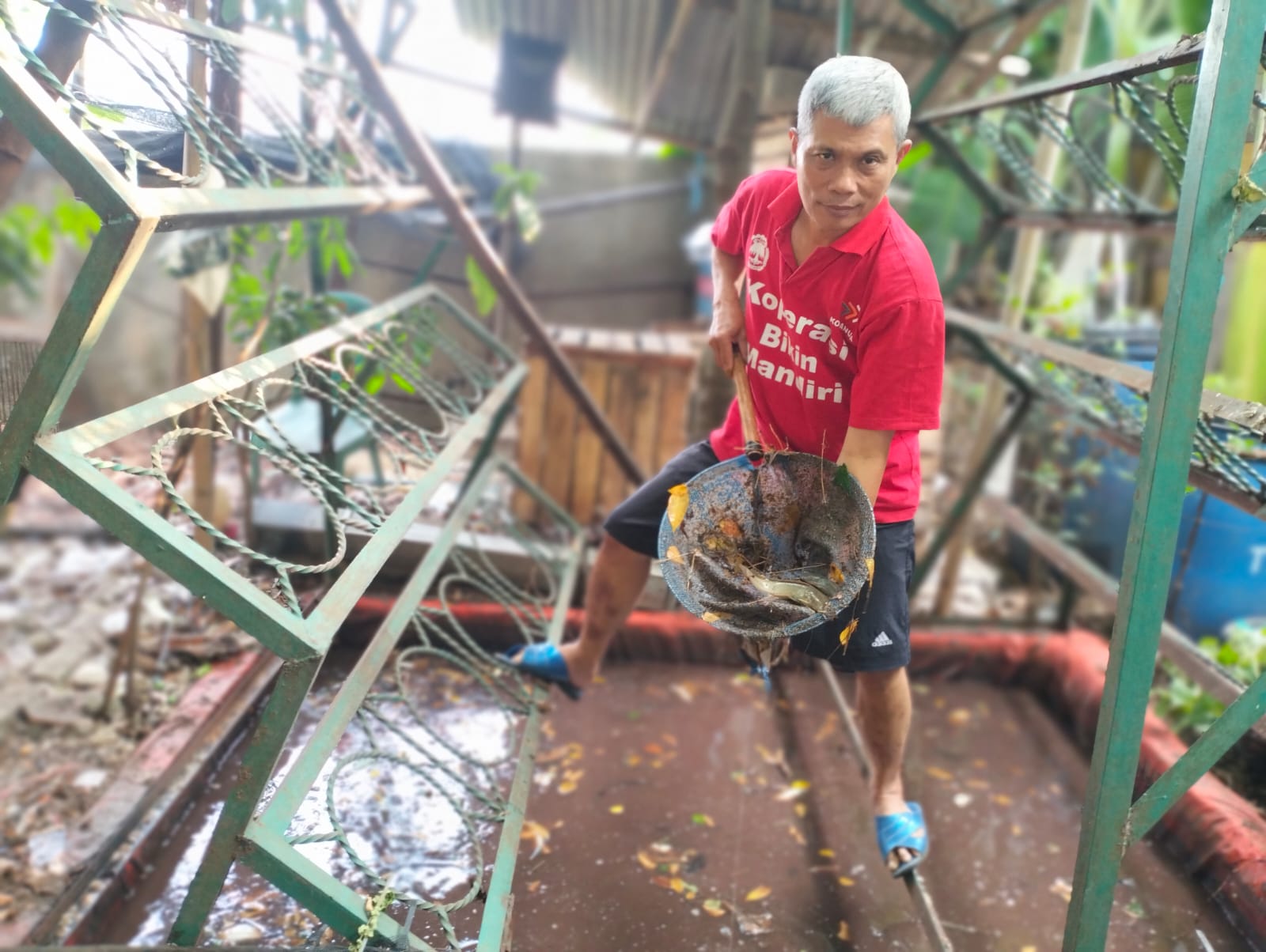 Bank Sampah Gawe Rukun Kunciran Indah Budidaya Ikan Lele Organik, Hasilnya Boleh Gratis untuk Warga